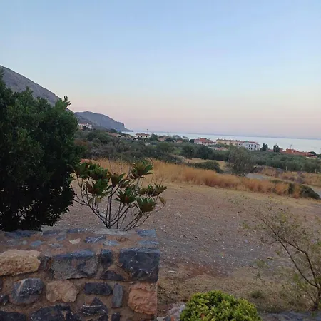 Althaea * Μονεμβασιά