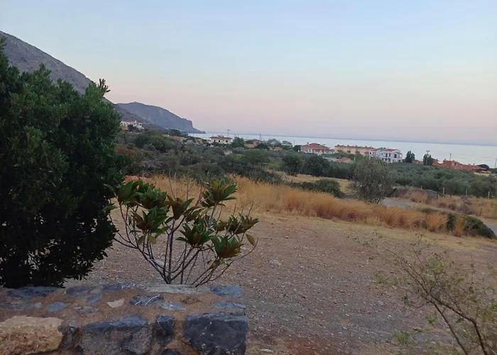 Althaea * モネンバシア